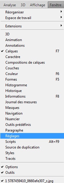 Photoshop- Les différents Réglages [Découverte du Logiciel] Mod_article41222288_4f47da3721fc5