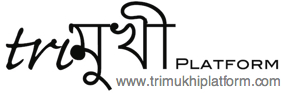 Trimukhi activities December 2012 - April 2013